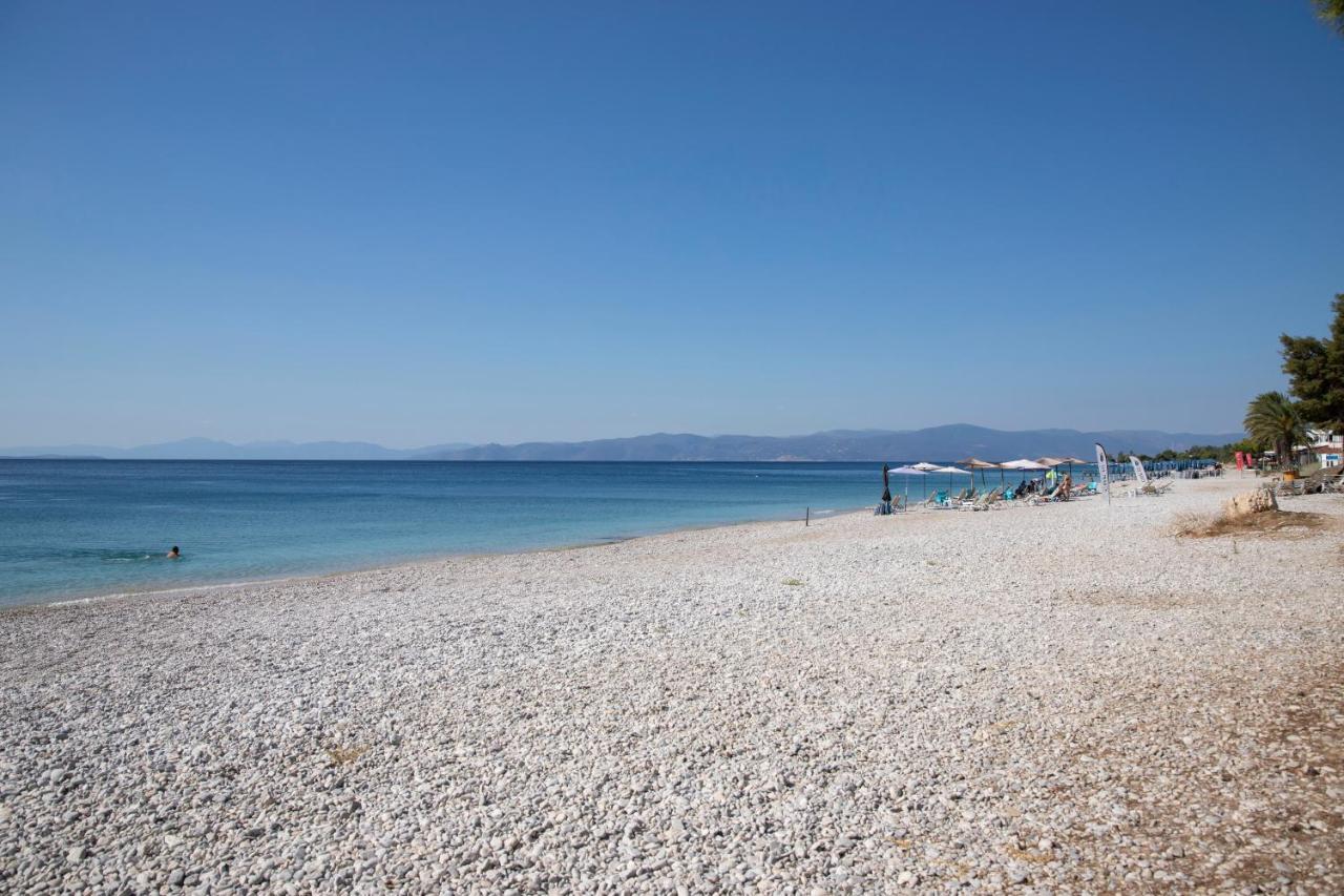 Seaside Haven Kineta Villa ภายนอก รูปภาพ